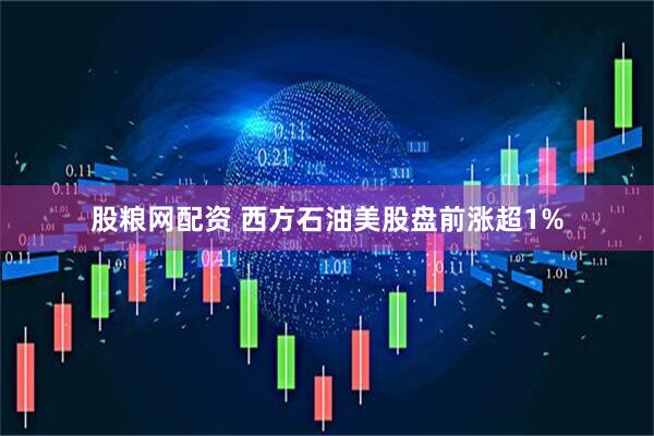 股粮网配资 西方石油美股盘前涨超1%