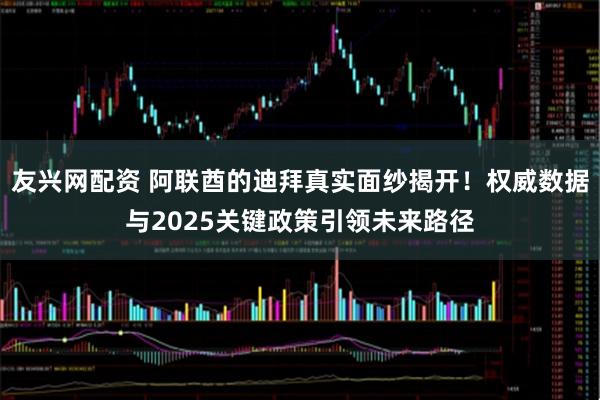 友兴网配资 阿联酋的迪拜真实面纱揭开！权威数据与2025关键政策引领未来路径